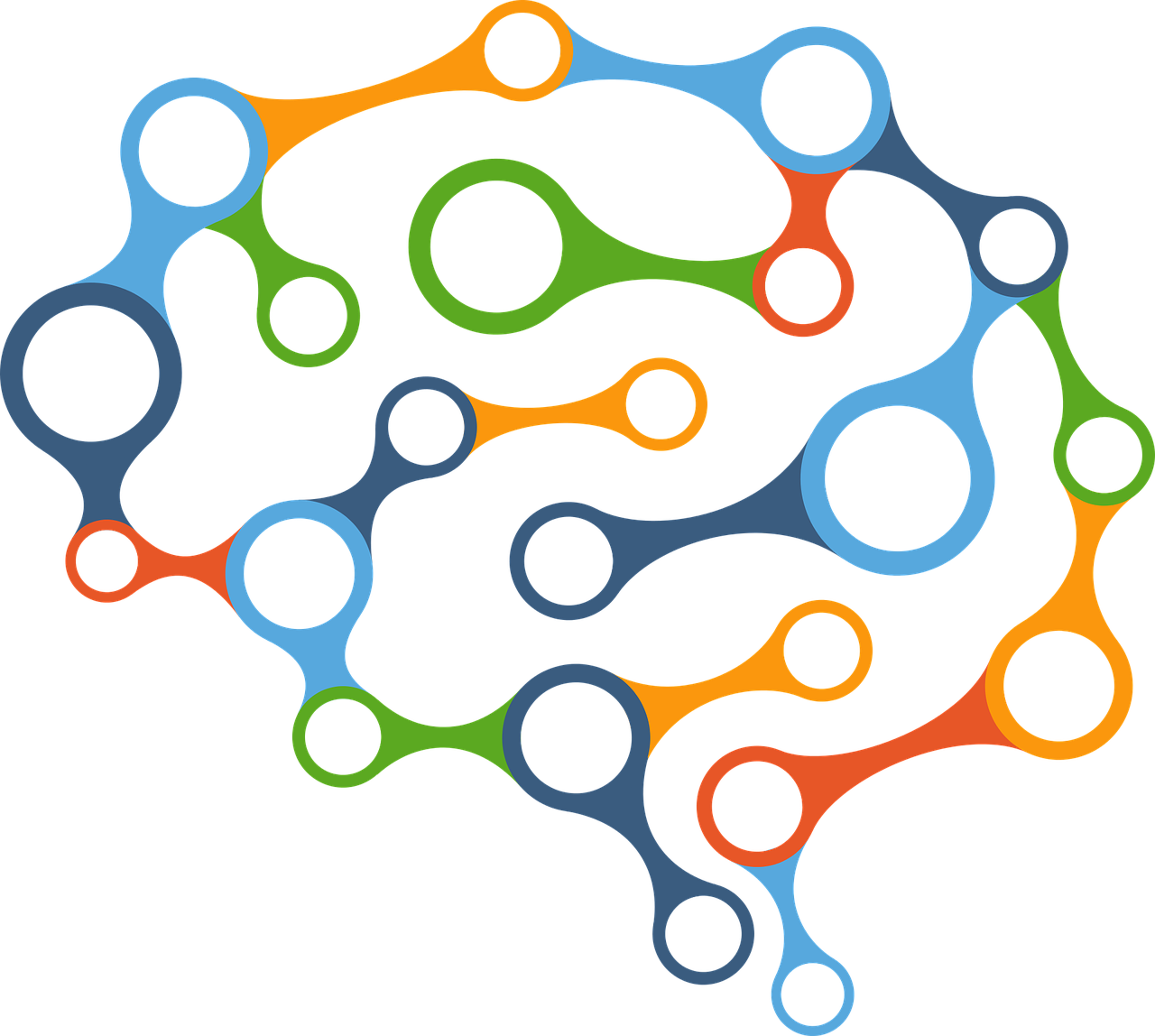 brain-2029391_1280-002.png